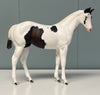 Fransisco Throwback Sample Pinto Weanling - SAMPLE &amp; OOAK SALE APRIL 2024 SS424