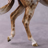 Stone Horses OOAK FCM &quot;Hot Spots&quot; - Appaloosa Large Mule by Sheryl Leisure &amp; Mona Best Offer 2/04/2025