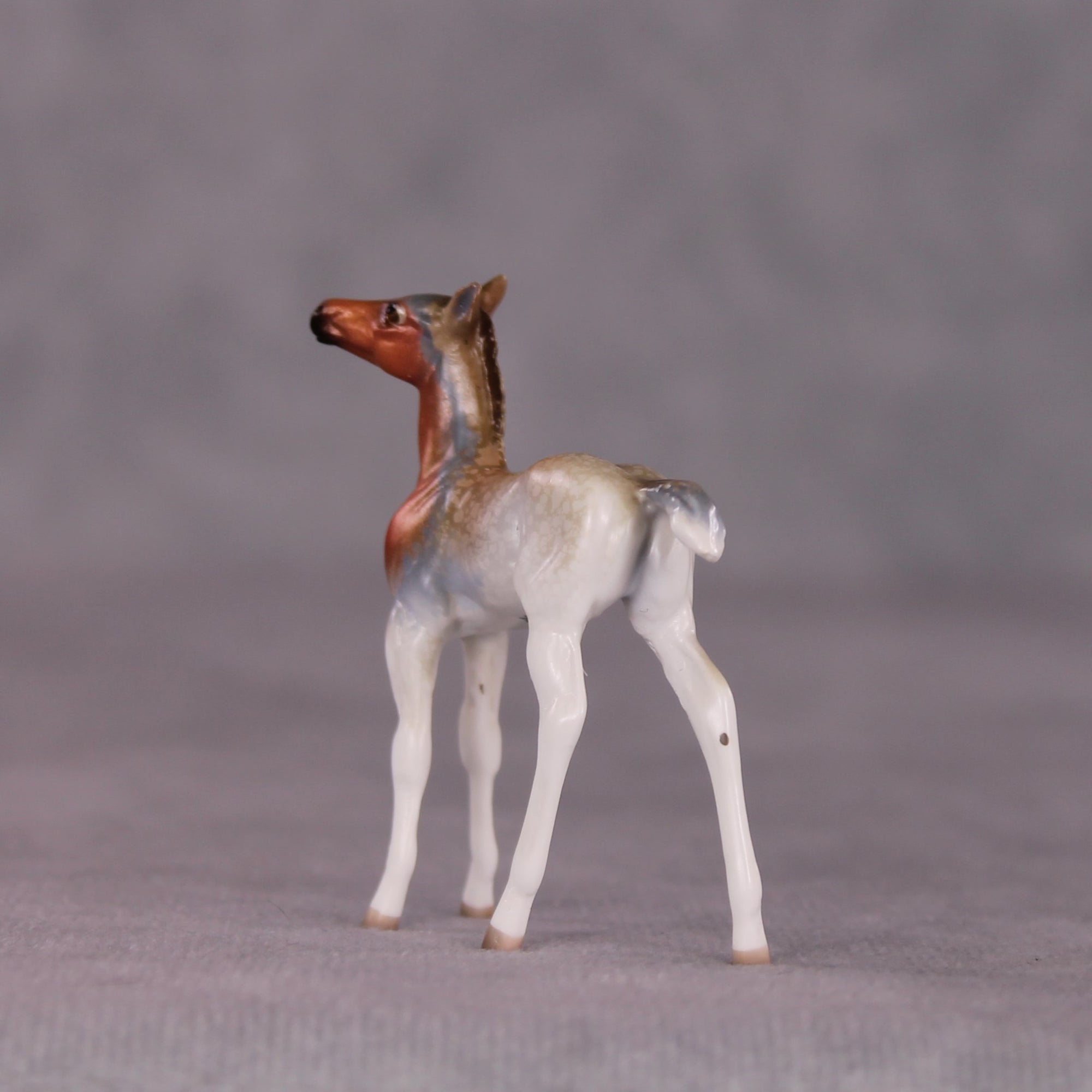 "Ruby" LE-3 Foal Chip by Jess Hamill - Menagerie Series