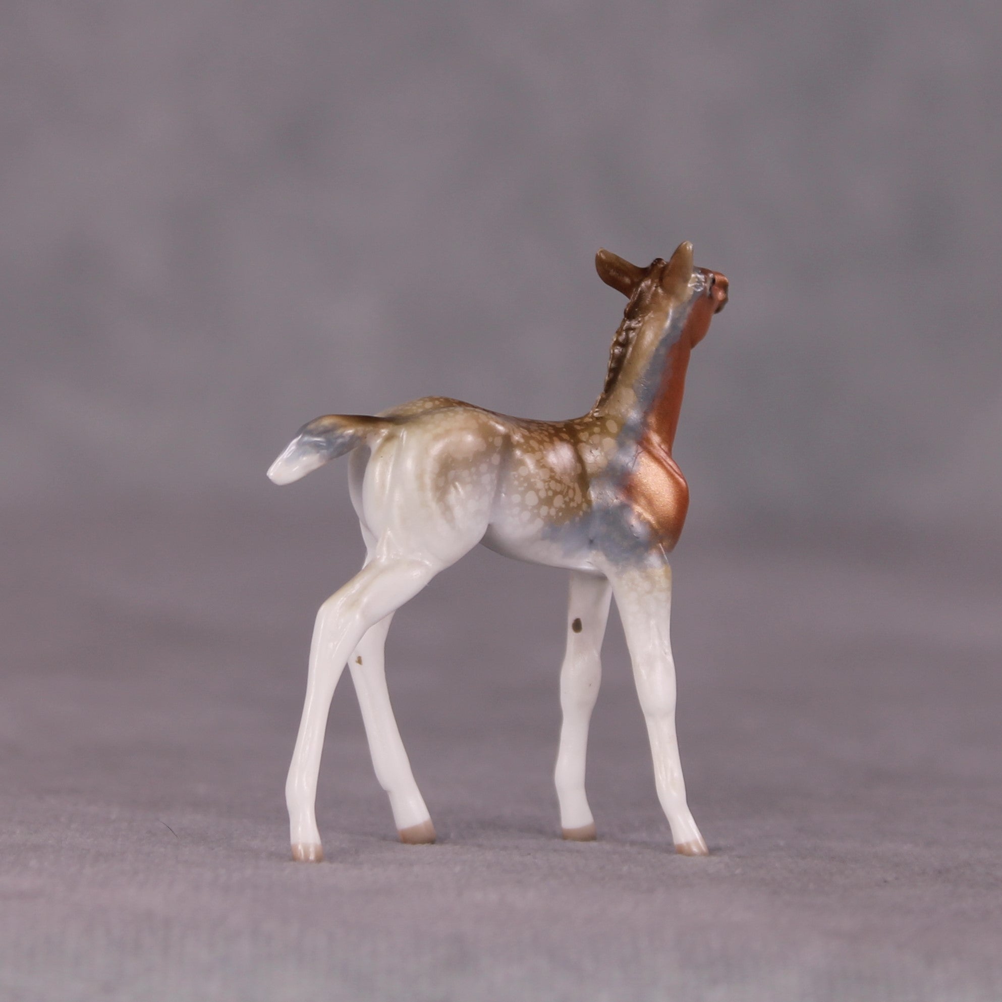 "Ruby" LE-3 Foal Chip by Jess Hamill - Menagerie Series