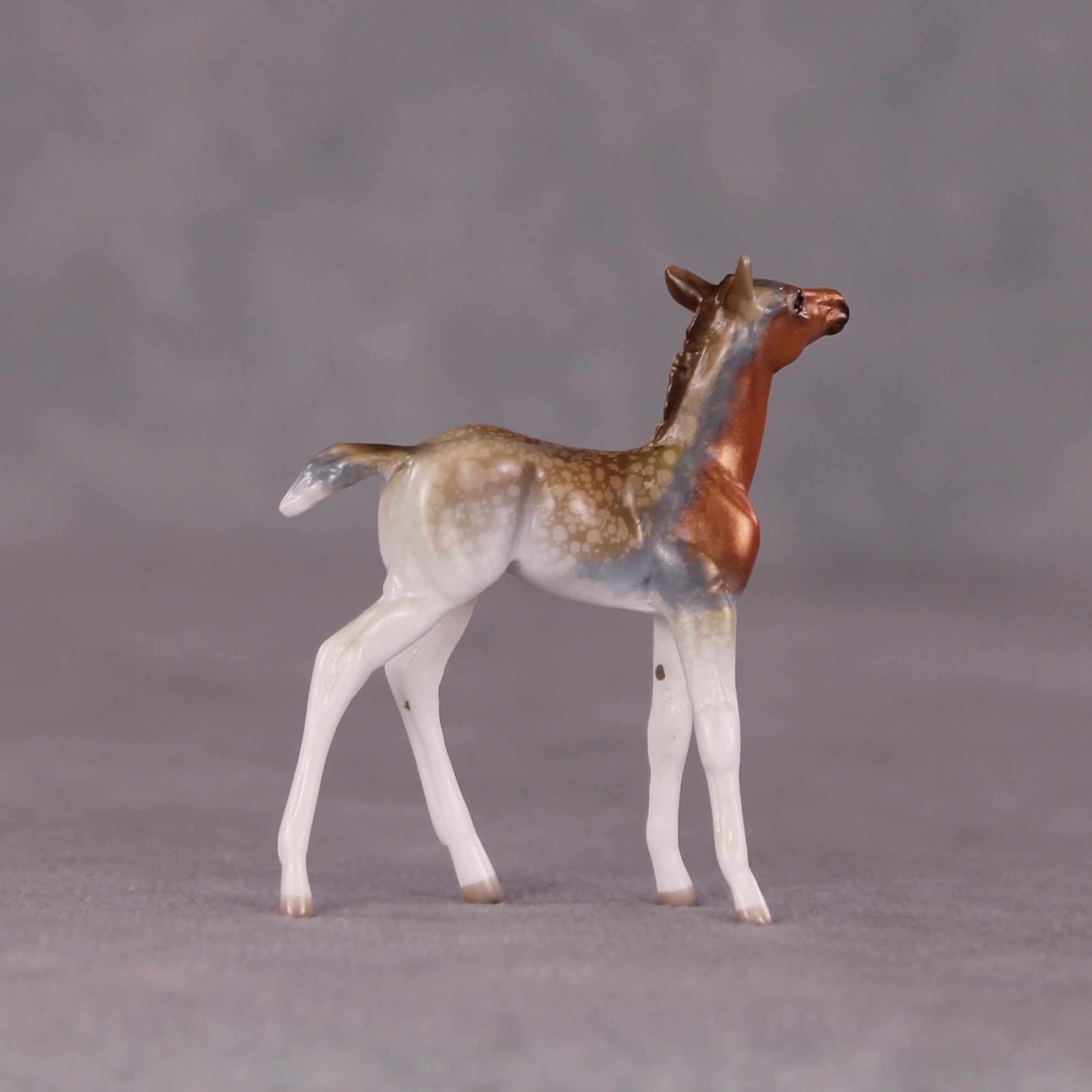 "Ruby" LE-3 Foal Chip by Jess Hamill - Menagerie Series