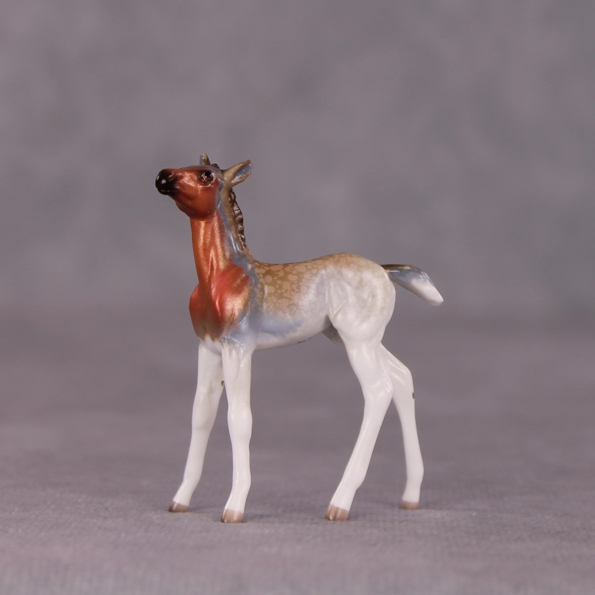 "Ruby" LE-3 Foal Chip by Jess Hamill - Menagerie Series