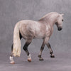 Fosse OOAK Fleabitten Dappled Grey Custom Irish Draft By Caroline Boydston - Best Offer 10/15/24