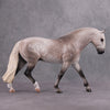 Fosse OOAK Fleabitten Dappled Grey Custom Irish Draft By Caroline Boydston - Best Offer 10/15/24