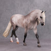 Fosse OOAK Fleabitten Dappled Grey Custom Irish Draft By Caroline Boydston - Best Offer 10/15/24