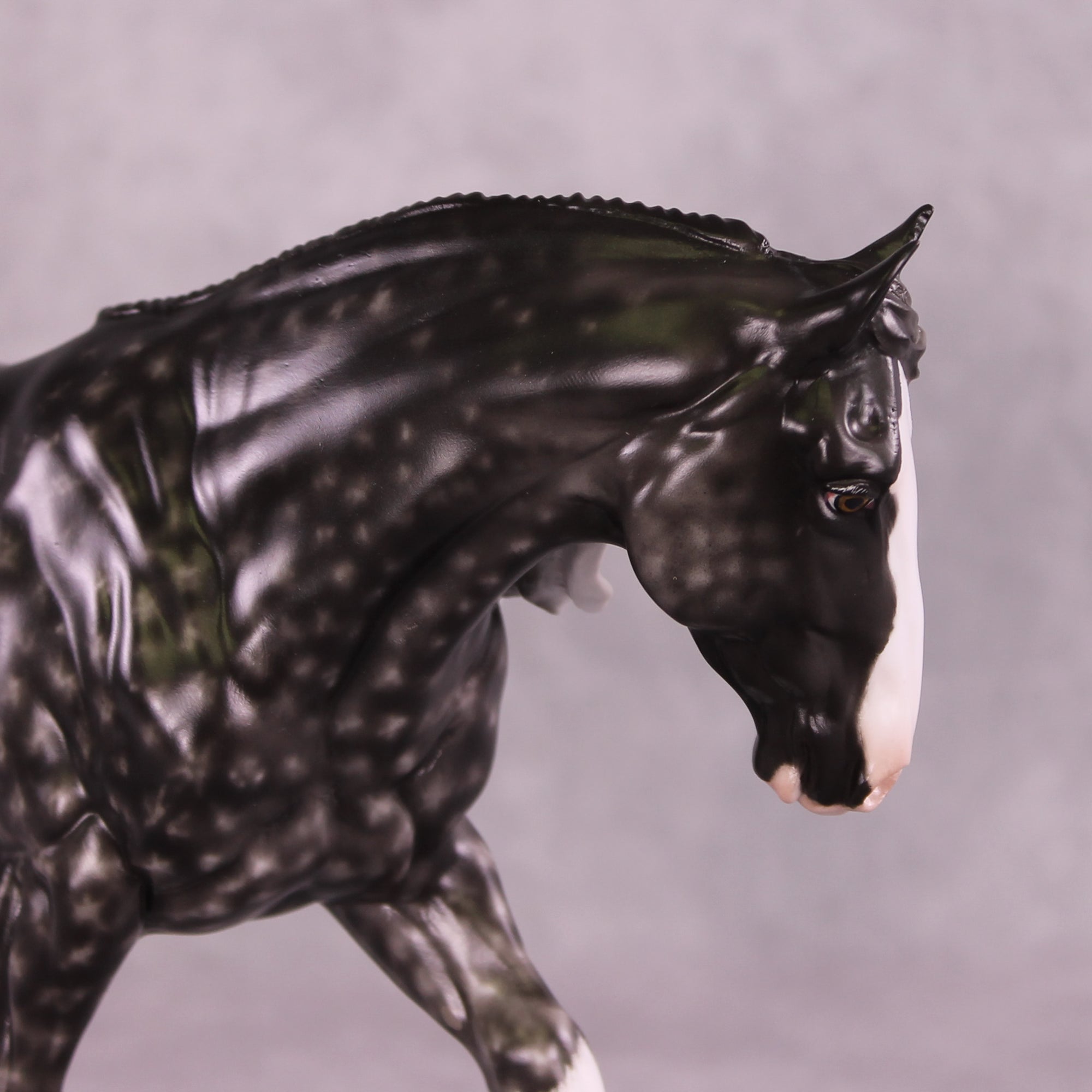 Brouhaha OOAK FCM Irish Cob by Sheryl Leisure Best Offer 08/12/25