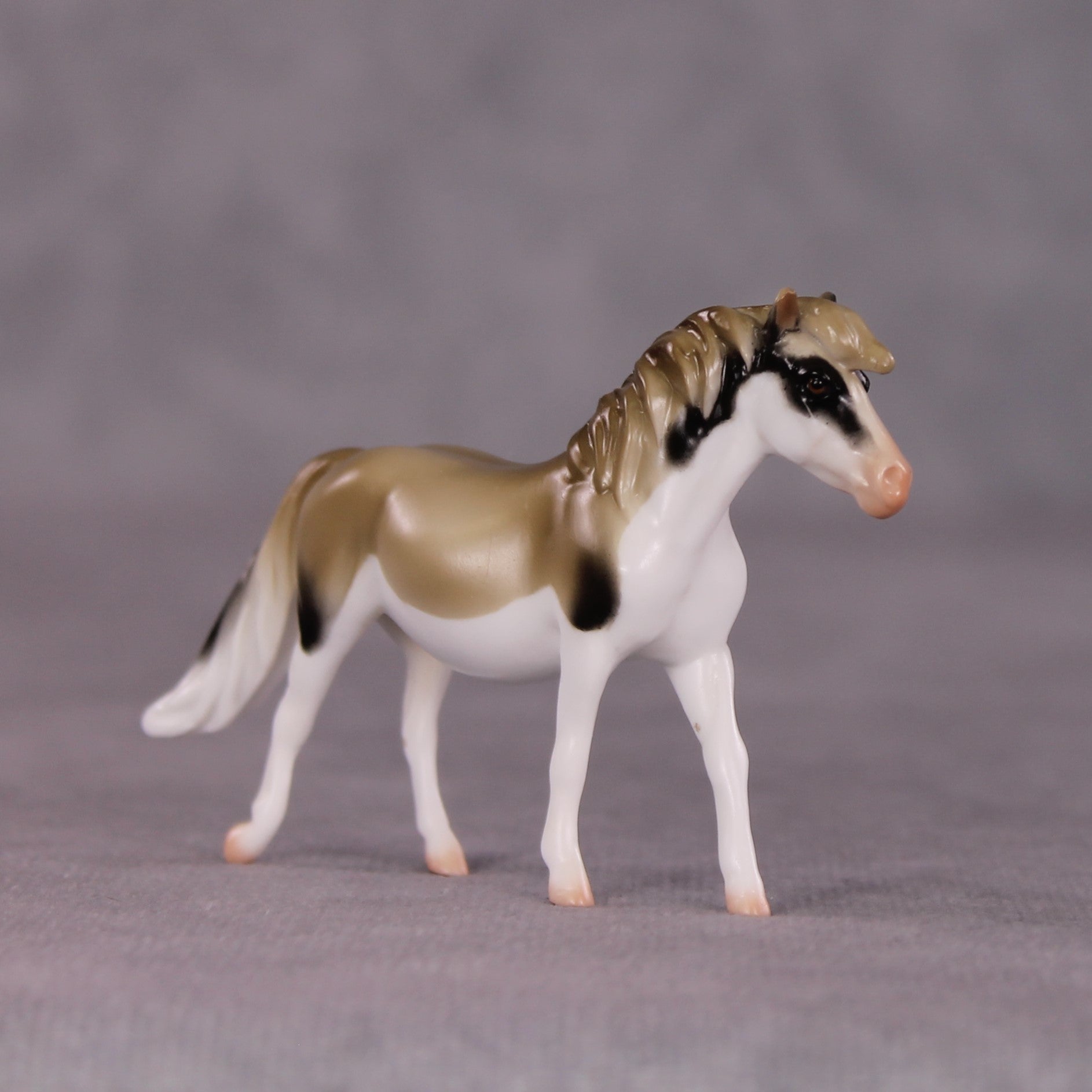 "Roquefort" LE-3 Pony Chip by Jess Hamill - Menagerie Series