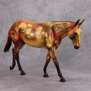 Gamboge - Fall Decorator LE-5 Palouse, Morgan and Mule By Dawn Quick MM24 Run