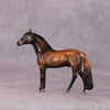 &quot;Ronno&quot; LE-3 Andalusian Chip by Jess Hamill - Menagerie Series