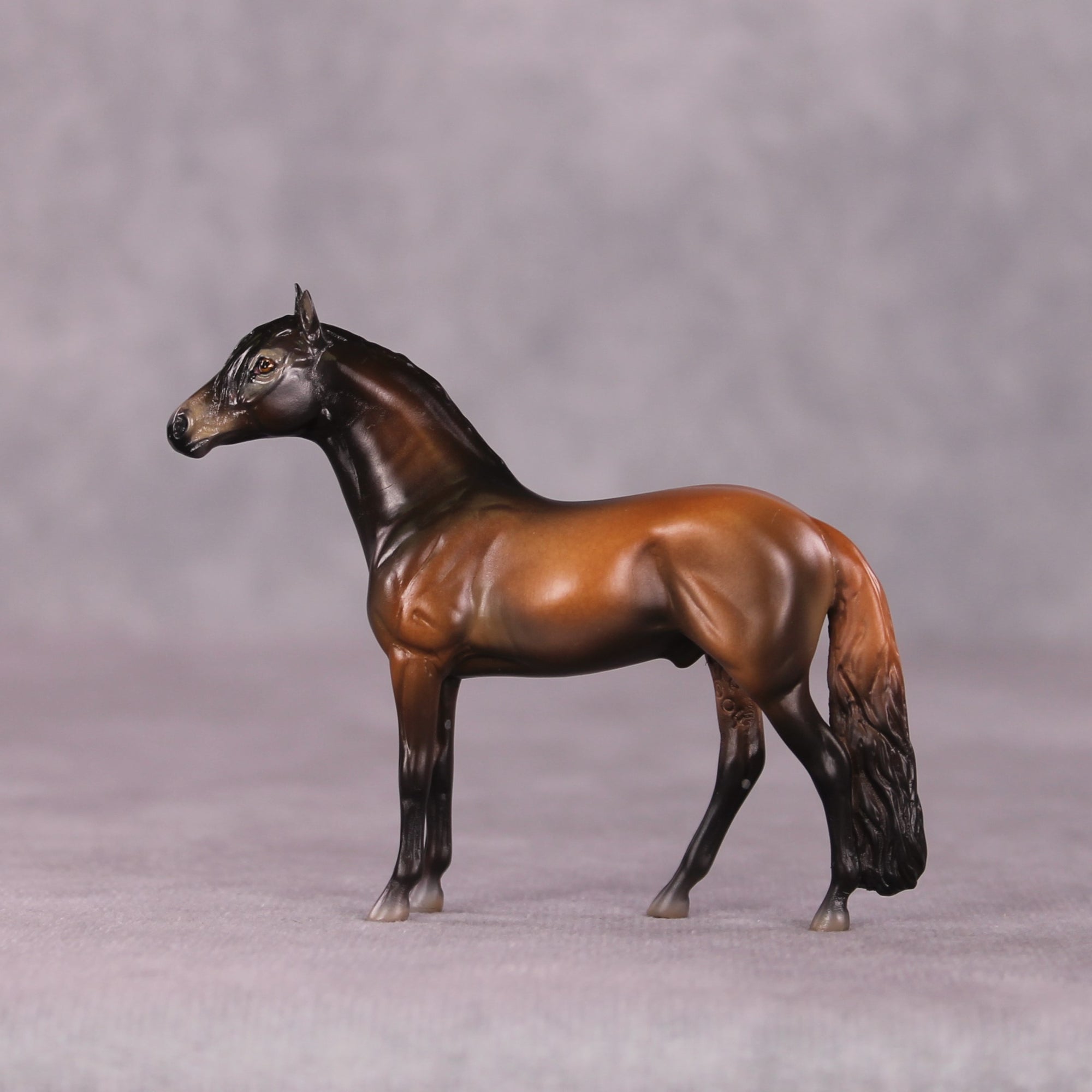 "Ronno" LE-3 Andalusian Chip by Jess Hamill - Menagerie Series