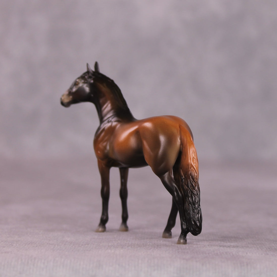 "Ronno" LE-3 Andalusian Chip by Jess Hamill - Menagerie Series