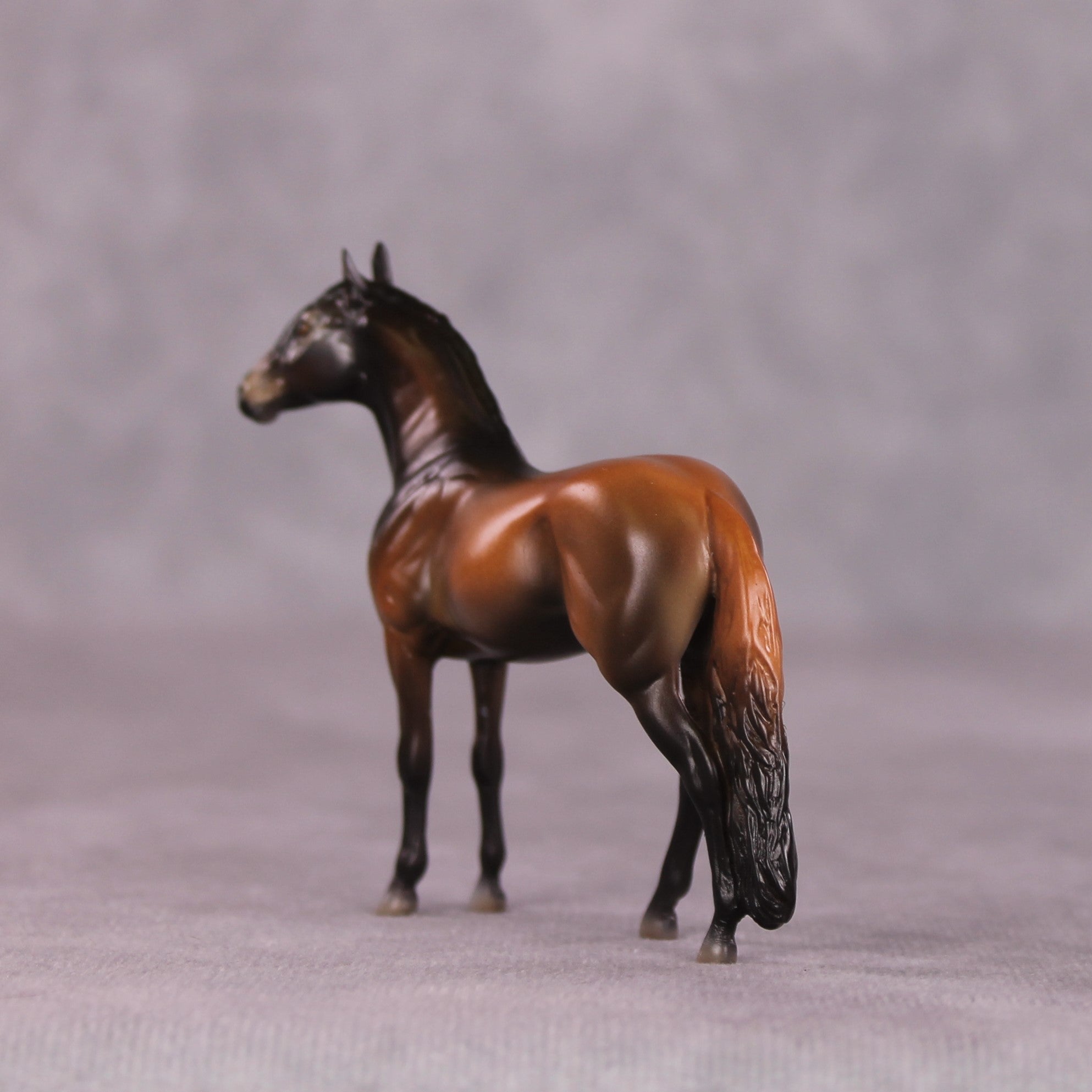 "Ronno" LE-3 Andalusian Chip by Jess Hamill - Menagerie Series