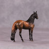 &quot;Ronno&quot; LE-3 Andalusian Chip by Jess Hamill - Menagerie Series