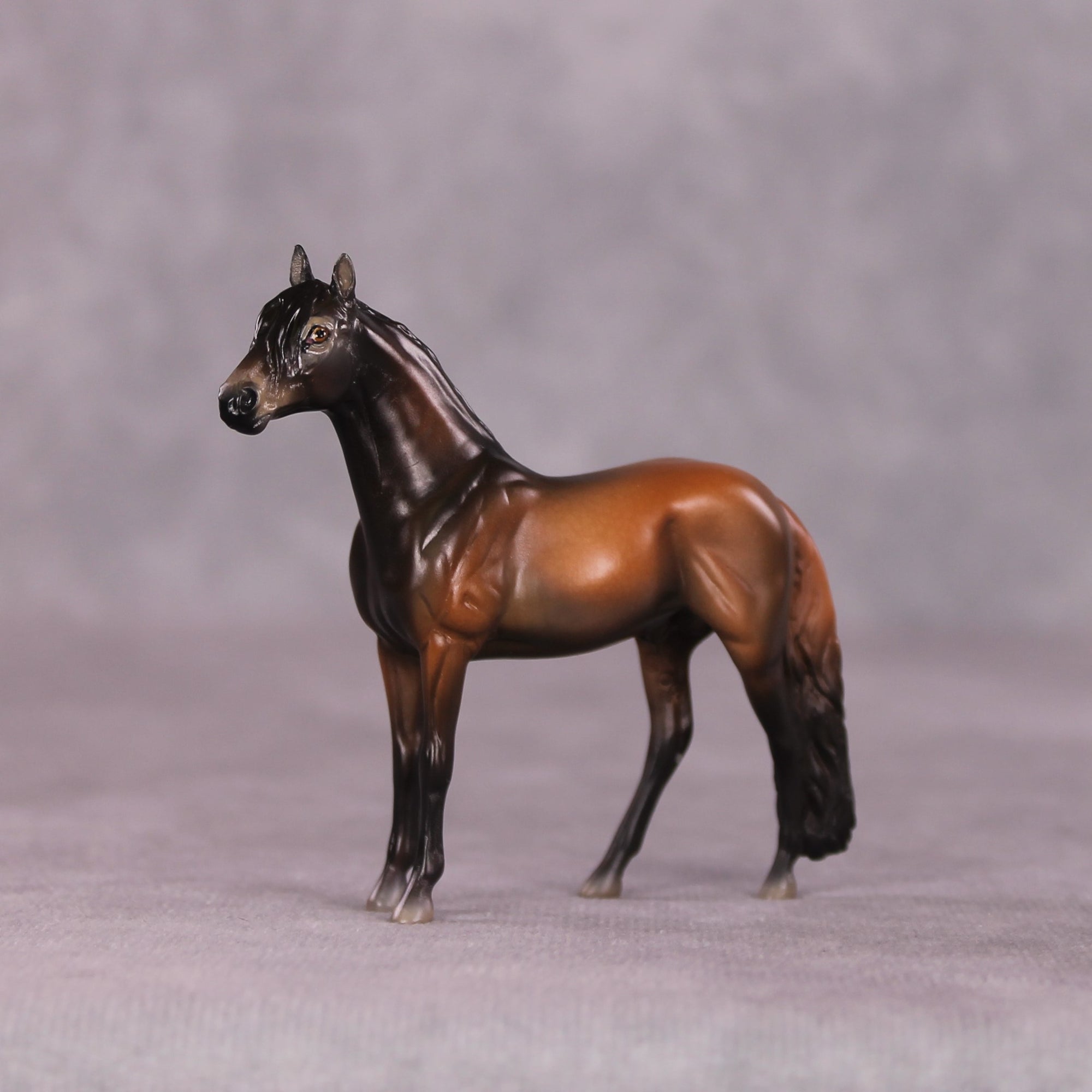 "Ronno" LE-3 Andalusian Chip by Jess Hamill - Menagerie Series