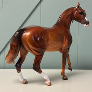 Mascherone OOAK Custom Dappled Chestnut Arabian Mare By Caroline Boydston Best Offers