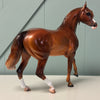 Mascherone OOAK Custom Dappled Chestnut Arabian Mare By Caroline Boydston Best Offers