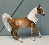 Glimmer  Extra Dappled Palomino Arabian Mare by Julie Keim April Sample and OOAK Sale SS424