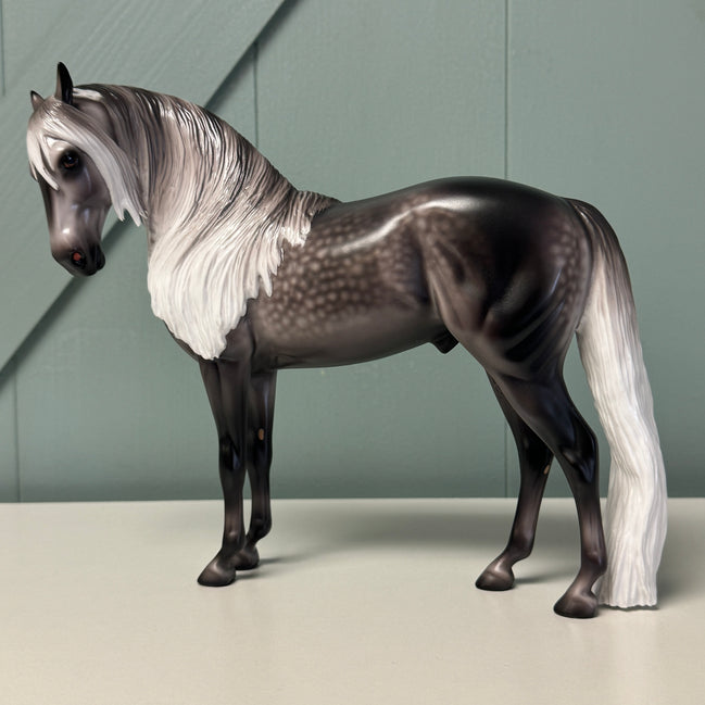 Trevi OOAK Custom Dappled Dark Grey Andalusian By Caroline Boydston Best Offers