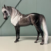 Trevi OOAK Custom Dappled Dark Grey Andalusian By Caroline Boydston Best Offers