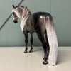 Trevi OOAK Custom Dappled Dark Grey Andalusian By Caroline Boydston Best Offers