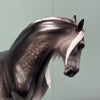 Trevi OOAK Custom Dappled Dark Grey Andalusian By Caroline Boydston Best Offers