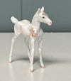 First Kiss #1 OOAK Custom Chip Foal By Andrea Thomason - SAMPLE &amp; OOAK SALE APRIL 2024 SS424