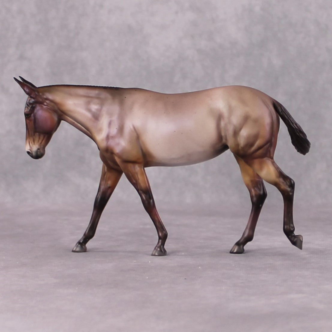 Vjollce LE-6 FCM Pebble Mule by Julie Keim FS25