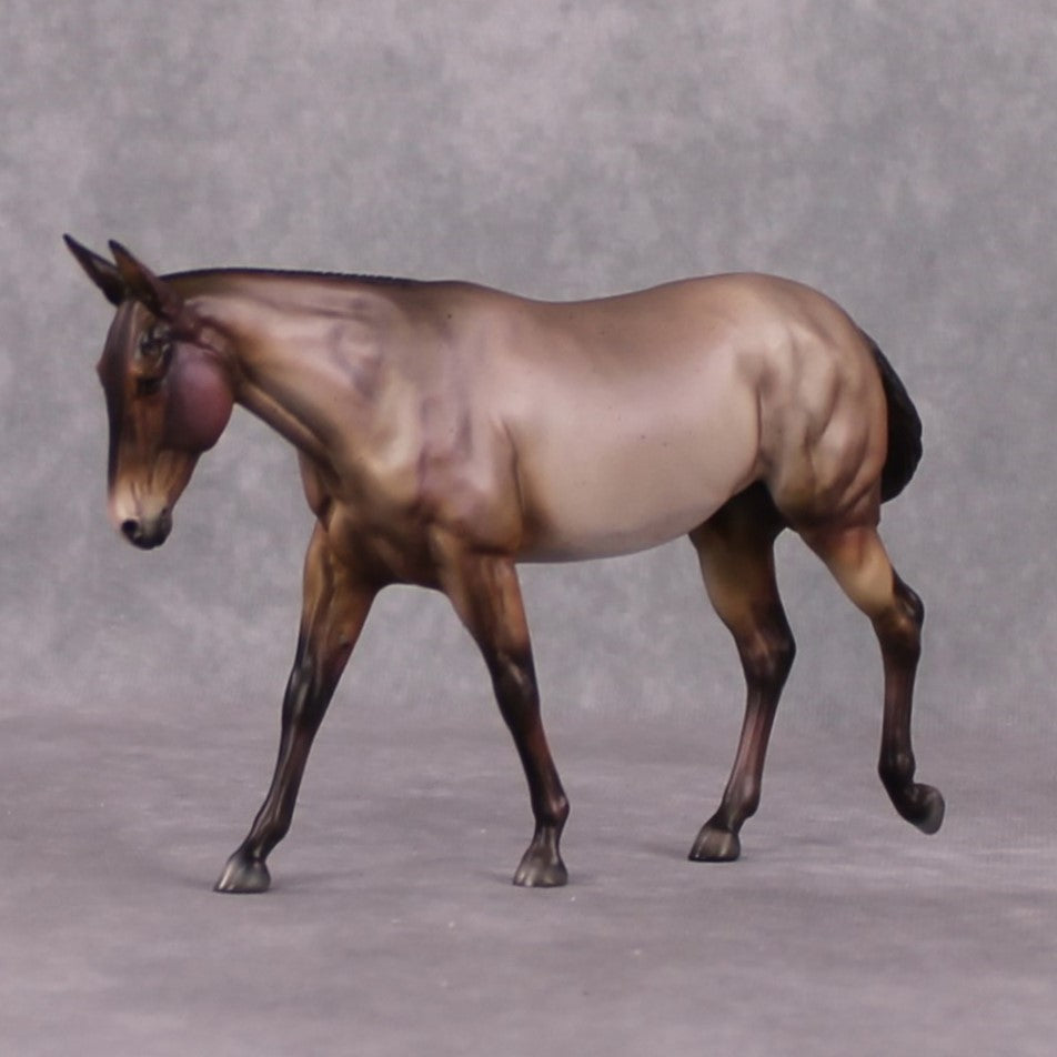 &quot;Vjollce&quot; SAMPLE FCM Pebble Mule By Julie Keim