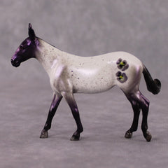 Violeta