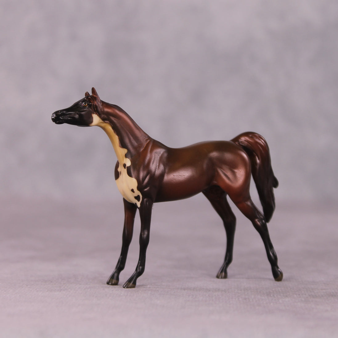 "Baum" LE-3 Arabian Chip by Jess Hamill - Menagerie Series