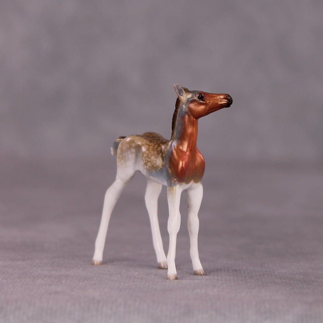 "Ruby" LE-3 Foal Chip by Jess Hamill - Menagerie Series