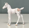 First Kiss #3 OOAK Custom Chip Foal By Andrea Thomason - SAMPLE &amp; OOAK SALE APRIL 2024 SS424