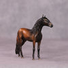 &quot;Ronno&quot; LE-3 Andalusian Chip by Jess Hamill - Menagerie Series