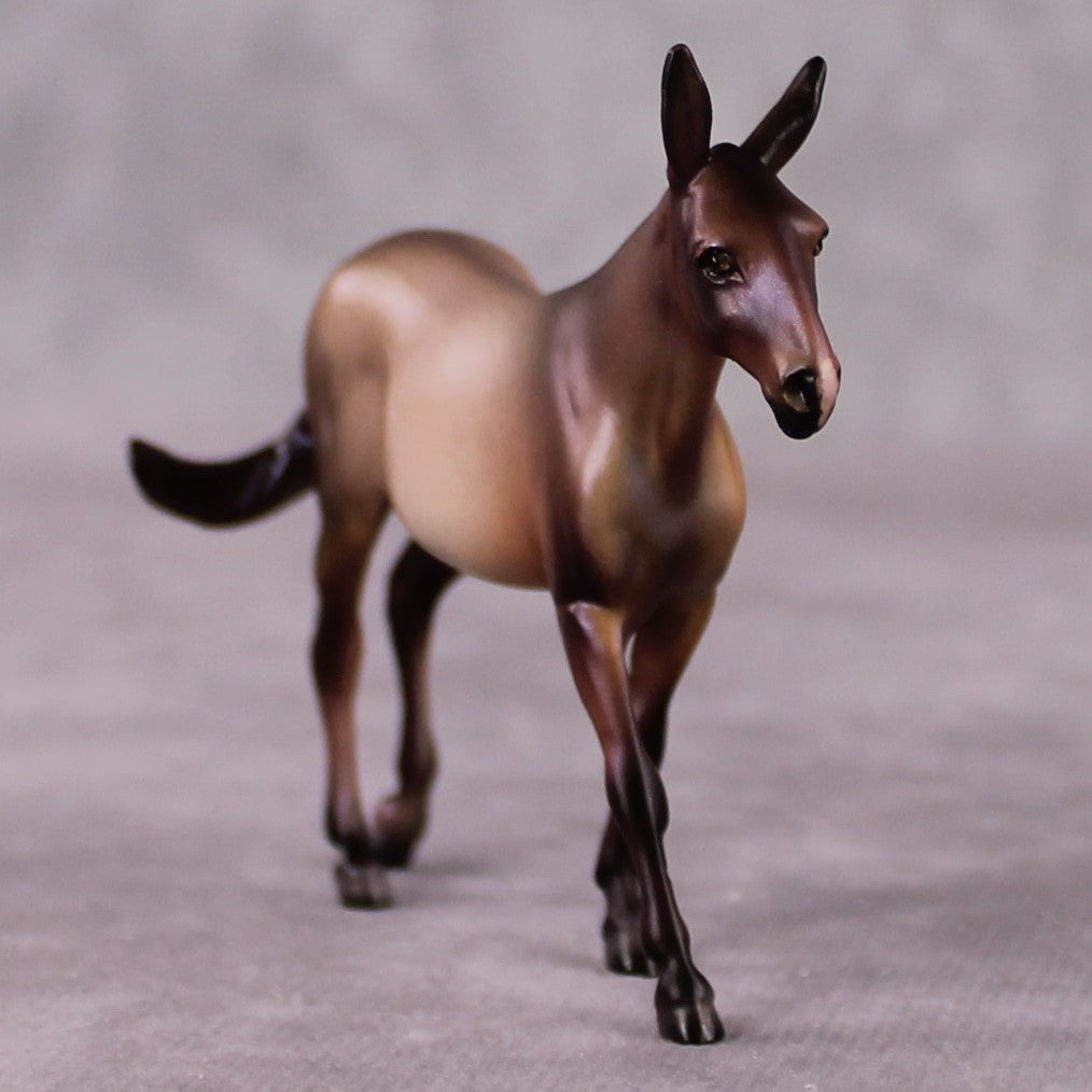 Viola LE-6 FCM Chip Mule by Julie Keim FS25