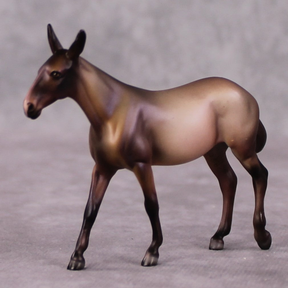 Viola LE-6 FCM Chip Mule by Julie Keim FS25