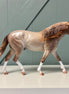 Libri OOAK Custom Dappled Rose Grey Irish Draught By Caroline Boydston Best Offers