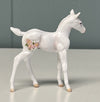 First Kiss #5 OOAK Custom Chip Foal By Andrea Thomason - SAMPLE &amp; OOAK SALE APRIL 2024 SS424