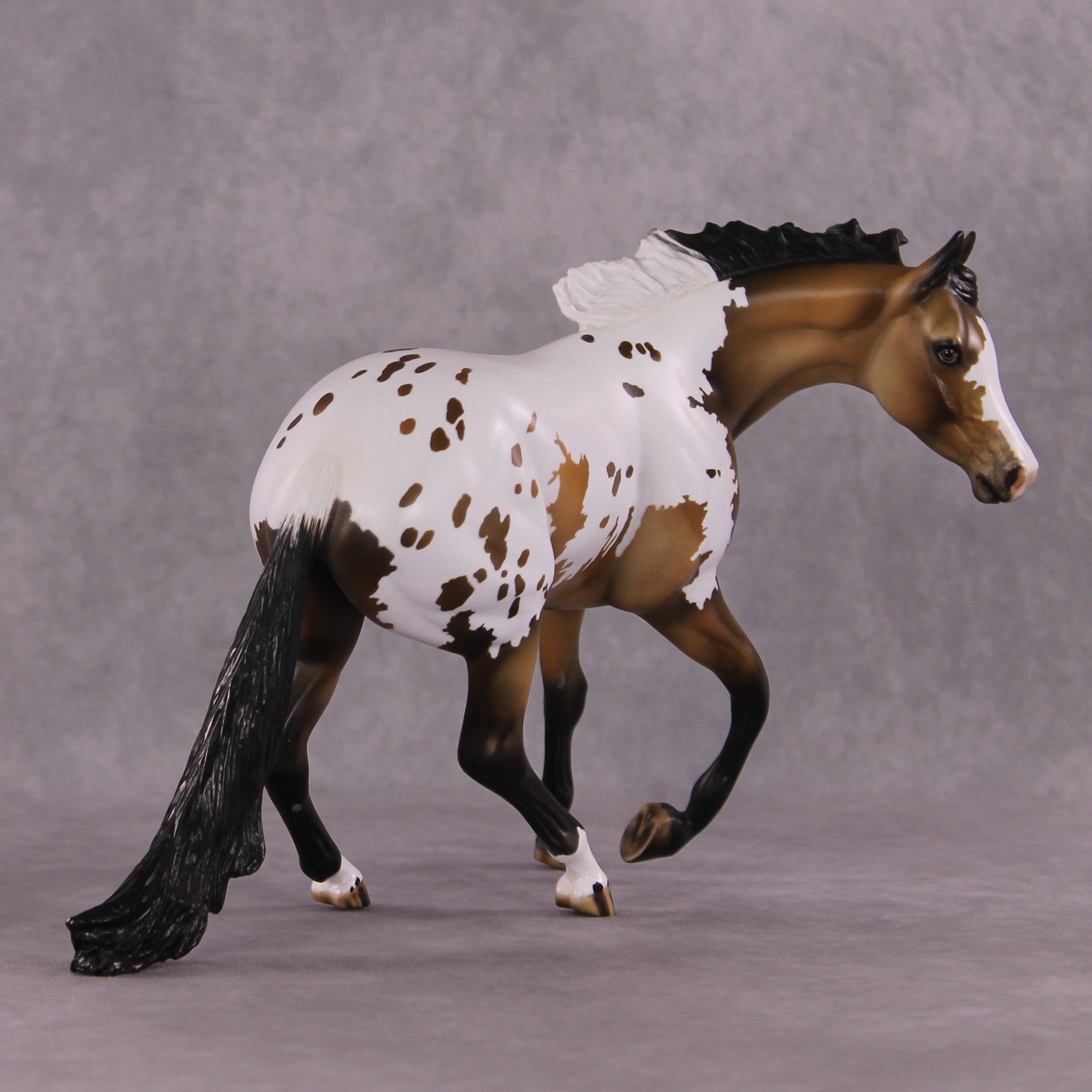 "Passerelle" LE-5 EFCM Arab Mare To Cutting Horse by Julie Keim SHCF25