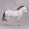Snow White&#39;s Prince LE 17 Fleabitten Dappled Mulberry Grey Andalusian By Ashley Palmer Fairy Tale Series - Pre Order - FTL24