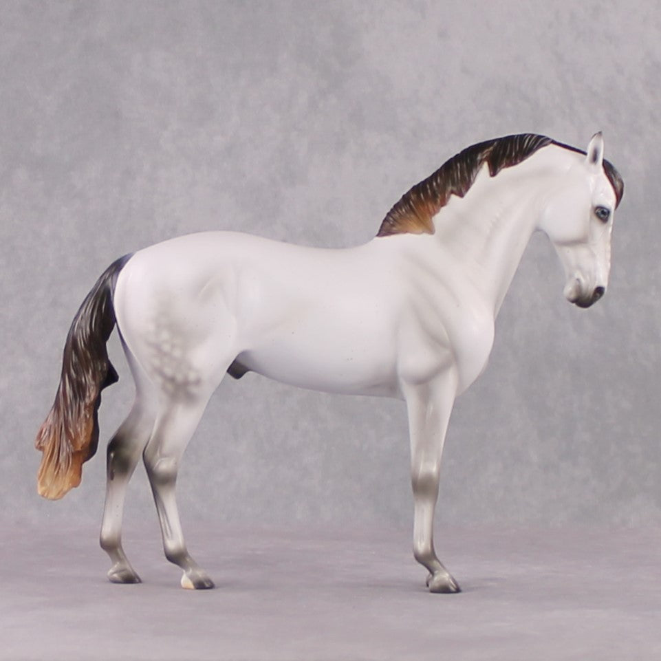 Snow White's Prince LE 17 Fleabitten Dappled Mulberry Grey Andalusian By Ashley Palmer Fairy Tale Series - Pre Order - FTL24