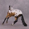 &quot;Passerelle&quot; LE-5 EFCM Arab Mare To Cutting Horse by Julie Keim SHCF25