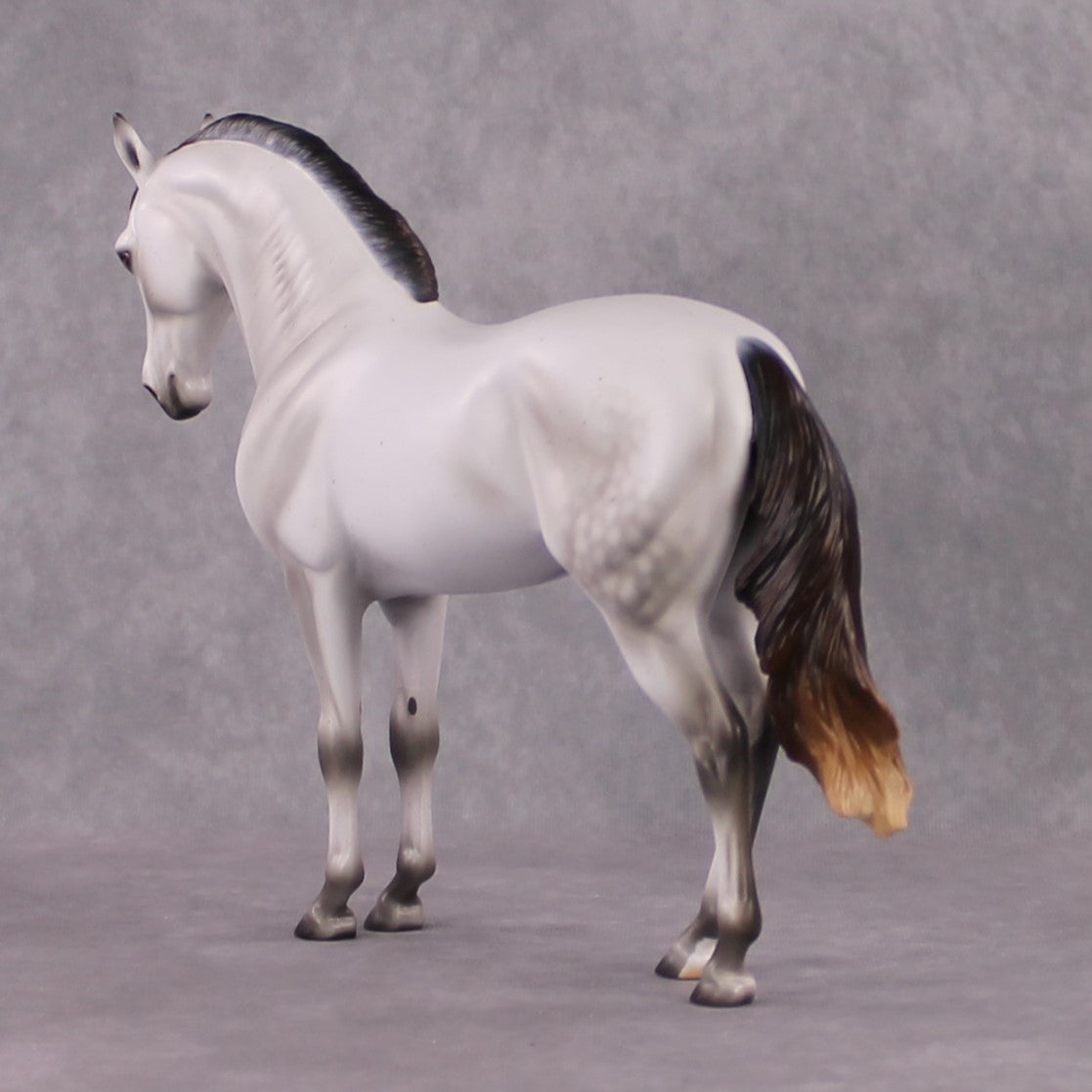 Snow White&#39;s Prince LE 17 Fleabitten Dappled Mulberry Grey Andalusian By Ashley Palmer Fairy Tale Series - Pre Order - FTL24