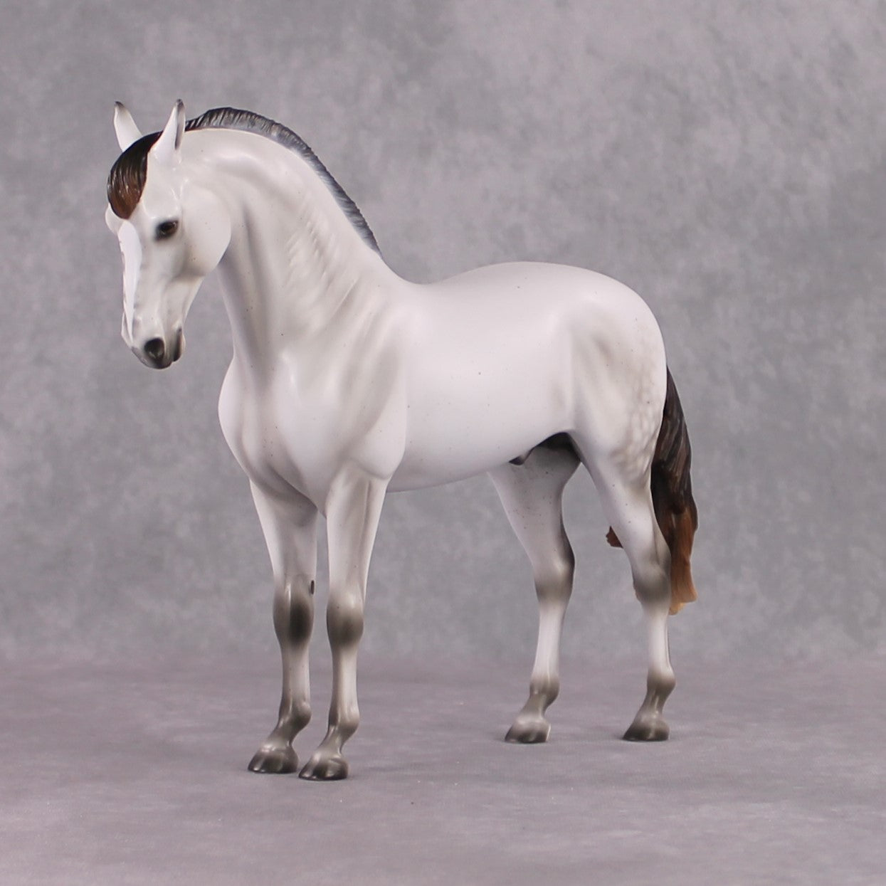 Snow White&#39;s Prince LE 17 Fleabitten Dappled Mulberry Grey Andalusian By Ashley Palmer Fairy Tale Series - Pre Order - FTL24