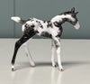 Nuovo OOAK Custom Chip Foal By Andrea Thomason - SAMPLE &amp; OOAK SALE APRIL 2024 SS424