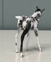 Nuovo OOAK Custom Chip Foal By Andrea Thomason - SAMPLE &amp; OOAK SALE APRIL 2024 SS424