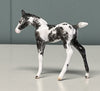 Nuovo OOAK Custom Chip Foal By Andrea Thomason - SAMPLE &amp; OOAK SALE APRIL 2024 SS424