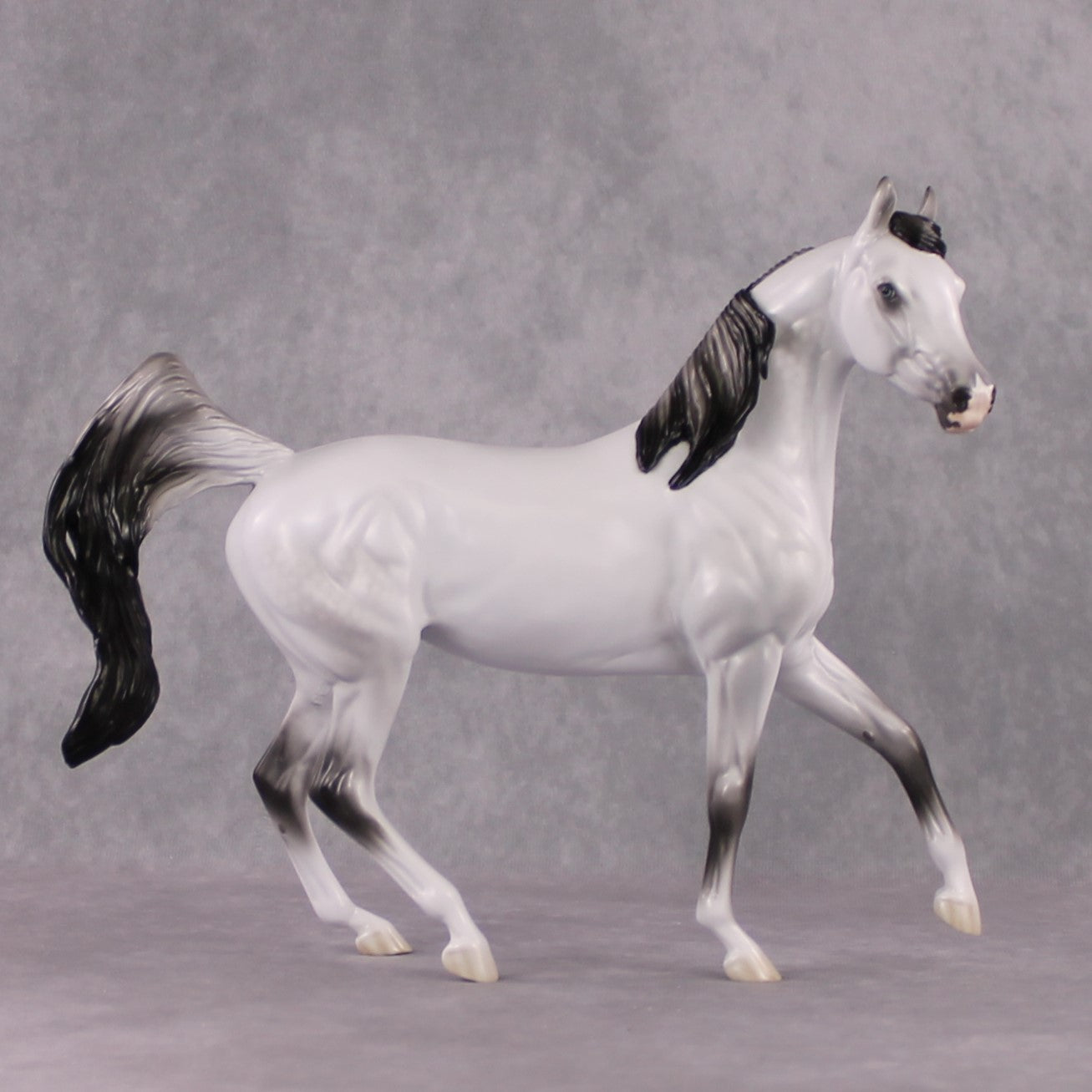SAMPLE "Snow White" FCM Arab Mare By Jess Hamill