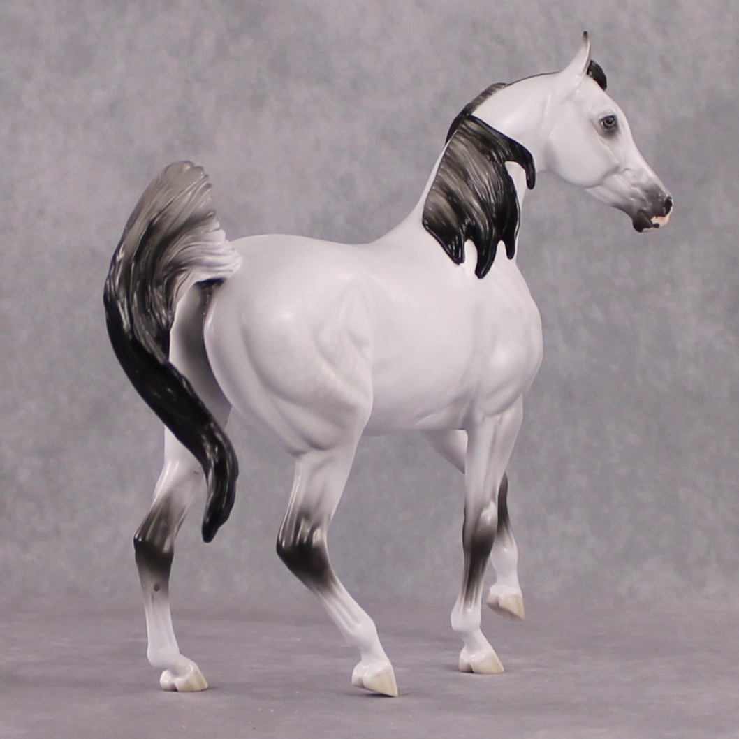 SAMPLE "Snow White" FCM Arab Mare By Jess Hamill