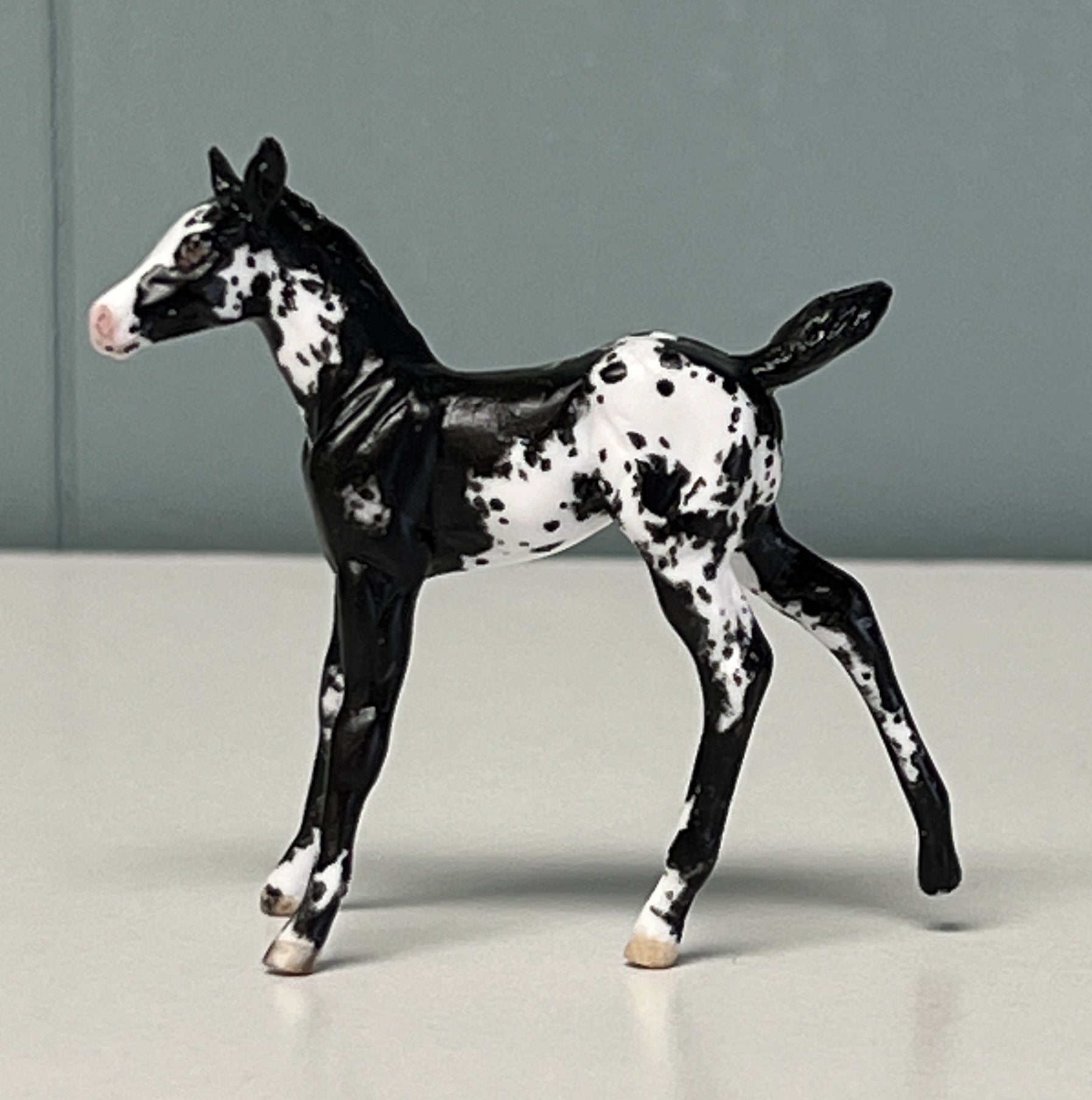 Nuveo OOAK Custom Chip Foal By Andrea Thomason - SAMPLE & OOAK SALE APRIL 2024 SS424