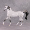 Snow White LE-11 Dappled Grey Arab Mare By Jess Hamill Fairy Tale Series - Pre Order - FTL24